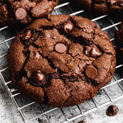 Close-up of freshly baked chocolate cookies